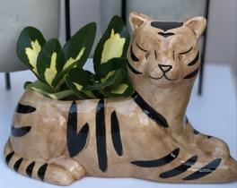 Cachepot Tigre em Cerâmica