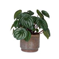 Cachepot/Vaso/suporte para plantas em cerâmica marrom - MART Cachepot/Vaso/suporte para plantas em cerâmica marrom - MART