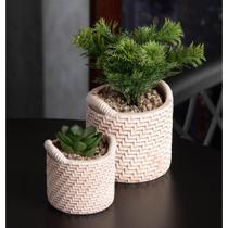 Cachepot Wolff de Cerâmica com Suculenta Palha 7,5cm x 7,5cm Cachepot Wolff de Cerâmica com Suculenta Palha 7,5cm x 7,5cm