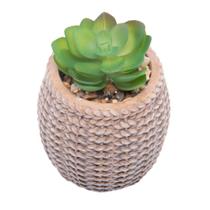 Cachepot Wolff de Cerâmica com Suculenta Sisal 7,5cm x 7,5cm Cachepot Wolff de Cerâmica com Suculenta Sisal 7,5cm x 7,5cm