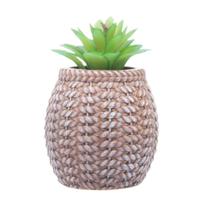 Cachepot Wolff de Cerâmica com Suculenta Sisal 9,5cm x 9,5cm Cachepot Wolff de Cerâmica com Suculenta Sisal 9,5cm x 9,5cm