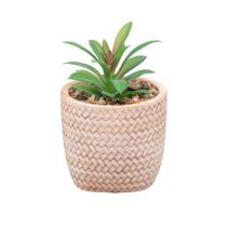 Cachepot Wolff de Cerâmica com Suculenta Trançado 10cm Cachepot Wolff de Cerâmica com Suculenta Trançado 10cm