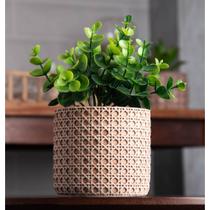 Cachepot Wolff de Cerâmica com Suculenta Treliça 10cm x 10cm Cachepot Wolff de Cerâmica com Suculenta Treliça 10cm x 10cm