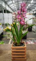 Cachepots De Mesa 20 X20 (Orquídea)