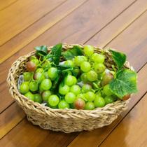 Cacho De Uva Artificial Fruta Silicone Ceia Realista na cor verde
