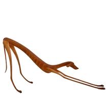 Cachorra Baleia Espreguiçando