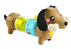 Cachorrinho Dachshund Infantil Htw91 Fisher-price Mattel