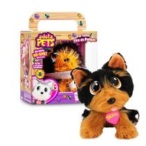 Cachorrinho Preto Adota Pets Cookie Multikids Cachorrinho Preto Adota Pets Cookie Multikids