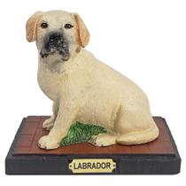 Cachorro Cão Escultura Estatueta Enfeite Resina Várias Raças