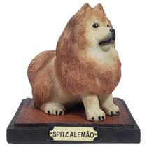 Cachorro Cão Escultura Estatueta Enfeite Resina Várias Raças - M3 Decoração