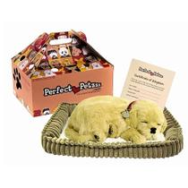 Cachorro de pelúcia que Respira - Golden Retriver - Perfect Petzz