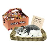 Cachorro Filhote Perfect Petzzz Respira Pet Alaskan Husky