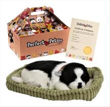 Cachorro Filhote Perfect Petzzz Respira Pet Border Collie