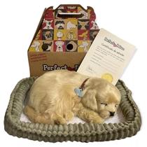 Cachorro Filhote Perfect Petzzz Respira Pet Golden Retriever