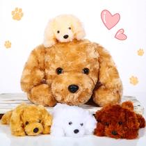 Cachorros de Pelúcia Skylety Golden Retriever - Kit com 5 Unidades