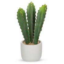 Cacto artificial DILATATA Euphorbia Accruensis 17 cm com vaso Cacto artificial DILATATA Euphorbia Accruensis 17 cm com vaso