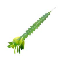 Cacto Artificial Verde Artificial Permanente 20cm Flor Arte