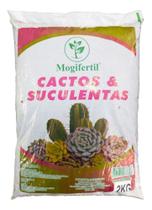 Cactos & suculentas 2 kg - Mogi Fértil