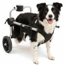 Cadeira 2 Rodas Colete Tamanho G Preto Cachorro Traseira Regulável Deficiente Paraplégico Idoso