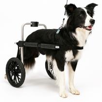 Cadeira 2 Rodas Tamanho G RG Cachorro Traseira Regulável Deficiente Paraplégico