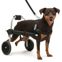 Cadeira 2 Rodas Tamanho MICRO Cachorro Traseira Regulável Deficiente Paraplégico
