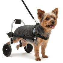 Cadeira 2 Rodas Tamanho PP Cachorro Traseira Regulável Deficiente Paraplégico