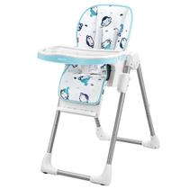 Cadeira Alimentação Refeição Infantil Bebê Até 15kg Ajustavel Reclinavel Chefs Chair Fisher Price - Fisher-Price