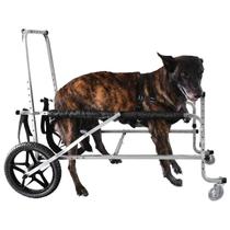 Cadeira Andador De 4 Rodas Para Cachorro Pet Grande Porte N5 - Pet Best Soluções