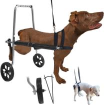 Cadeira De 2 Rodas Cachorro Pet Médio Porte De 8 A 15 Kg Anti Tombamento - Pet Best Soluções