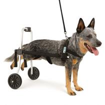 Cadeira De 2 Rodas Cachorro Tam. G Grande Regulável Pata Traseira Paraplegia Displasia Idoso Pet Best Soluções Cadeira De 2 Rodas Cachorro Tam. G Grande Regulável Pata Traseira Paraplegia Displasia Idoso Pet Best Soluções