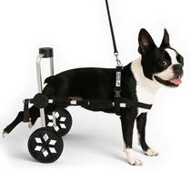 Cadeira De 2 Rodas Cachorro Tam. M Médio Regulável Patas Traseiras Paraplegia Idoso Displasia Paralisia Pet Best Soluções Cadeira De 2 Rodas Cachorro Tam. M Médio Regulável Patas Traseiras Paraplegia Idoso Displasia Paralisia Pet Best Soluções