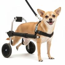 Cadeira De 2 Rodas Cachorro Tam. Micro Regulável Pata Traseira Pet Best Soluções
