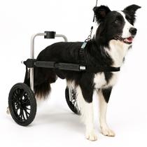 Cadeira De 2 Rodas Cachorro Tamanho G Médio Grande Roda 12