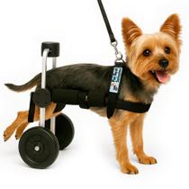 Cadeira De 2 Rodas Cachorro Tamanho Pp Patas Traseiras Paralisia Paraplegia Pet Best Soluções