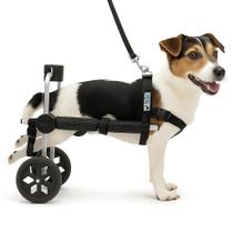 Cadeira De 2 Rodas Para Cachorro Tam. P Pequena Regulável Patas Traseiras Pet Best Soluções Paraplegia Lesões Idosos Cadeira De 2 Rodas Para Cachorro Tam. P Pequena Regulável Patas Traseiras Pet Best Soluções Paraplegia Lesões Idosos