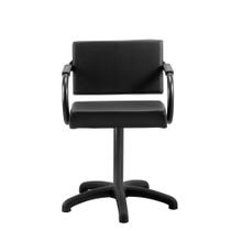 Cadeira de Cabeleireiro Salão de Beleza e Barbearia Dompel Titan Fixa Stand Estofado Preto