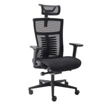 Cadeira De Escritório Ergonômica Elements Vertta Special Preta