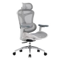 Cadeira de Escritório SIHOO Doro C300 Ergonômica com Tela Cinza