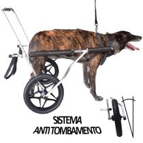 Cadeira De Rodas Cachorro Cão Grande Porte 25 A 50 Kg - Pet Best Soluções