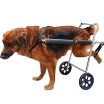 Cadeira De Rodas Para Cachorro Grande Porte De 15 A 30 Kg - Pet Best Soluções