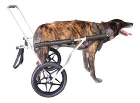 Cadeira De Rodas Para Cão Cachorro Grande Porte De 25 A 50Kg