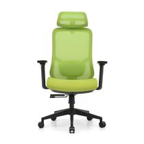 Cadeira Ergonômica Escritório Ally Bumper Tela Respirável Ajuste de Altura Regulagem Lombar Braços Ajustáveis NR17