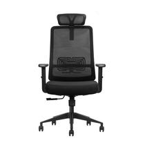 Cadeira Ergonômica Escritório Ergo Basic Giratória com Encosto Reclinável 120, Apoio de Cabeça 2D e Suporte Lombar GV1 BH12