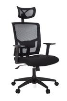 Cadeira presidente c/regulagem de lombar e altura - bna312p - Anima