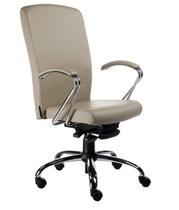 Cadeira Presidente Luxuosa com Braços Fixos Linha Alpha Bege - Design Office