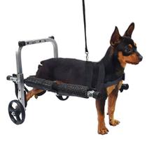 Cadeira Rodas Para Cachorro Gato Pet De Pequeno Porte N1 - Pet Best Soluções