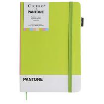Caderneta Cicero Pantone Pontado 14x21 Neon Pastel 160 Folhas