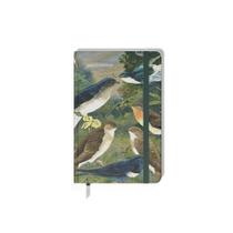 Caderneta média emilio goeldi andorinhas teca papelaria