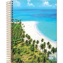 Caderno 1 Matéria Espiral Universitário CD 96fls Brasilidade Jandaia