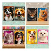 Caderno 10 Matérias 160 Folhas Nova Mix Feminino Sortido